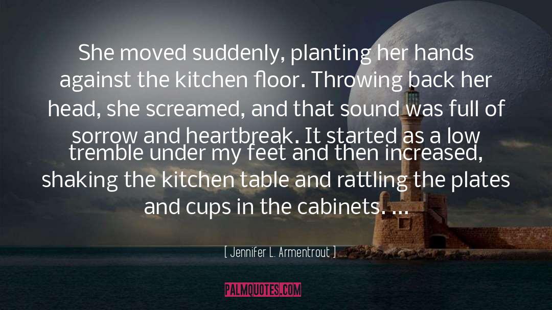 Head Injury quotes by Jennifer L. Armentrout