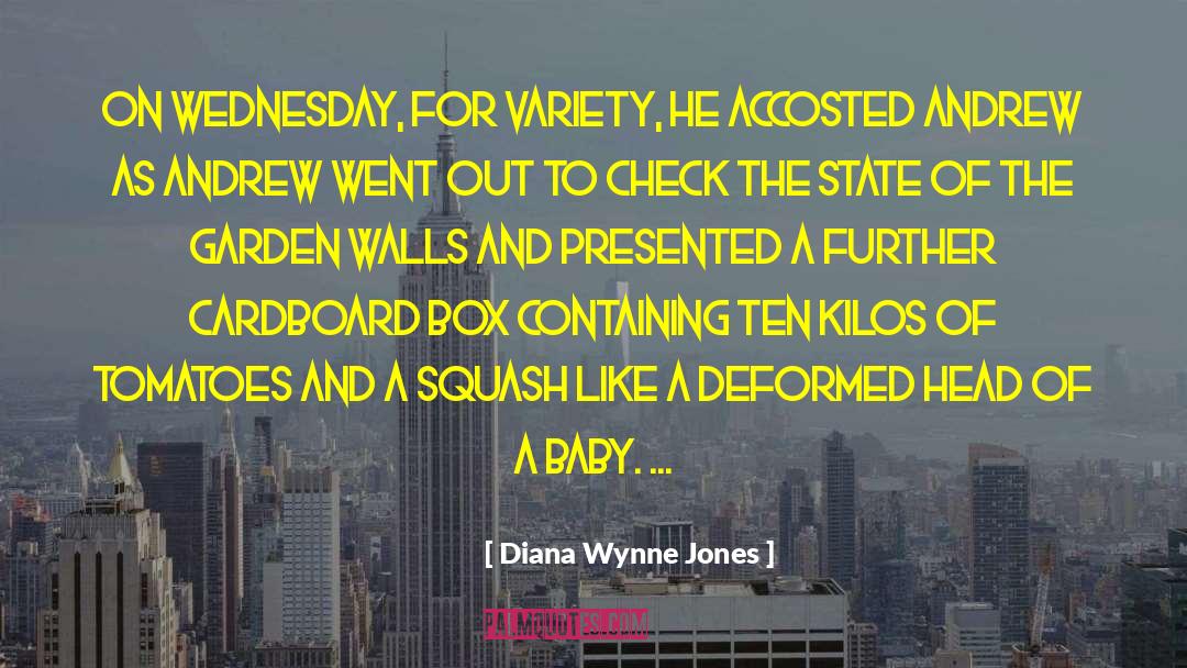 Head Trauma quotes by Diana Wynne Jones