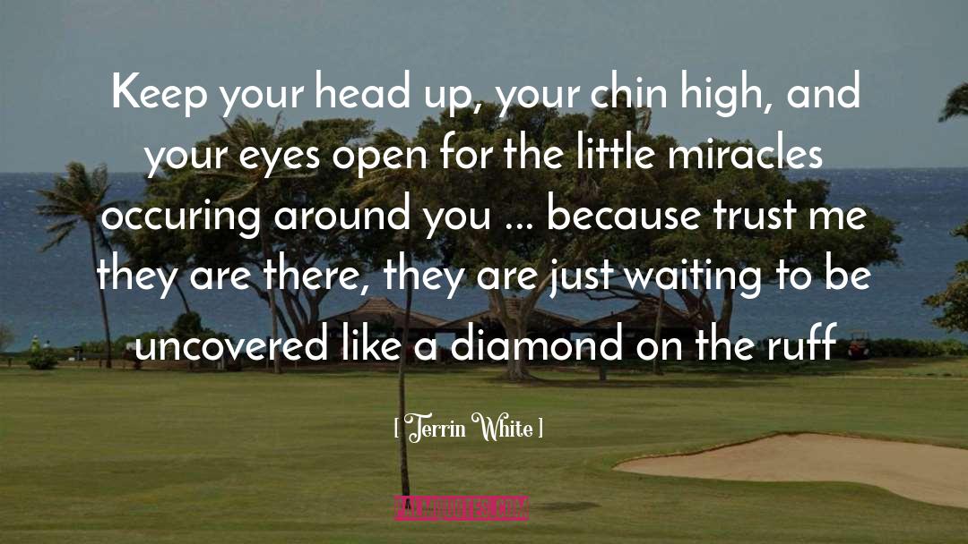 Head Up quotes by Terrin White