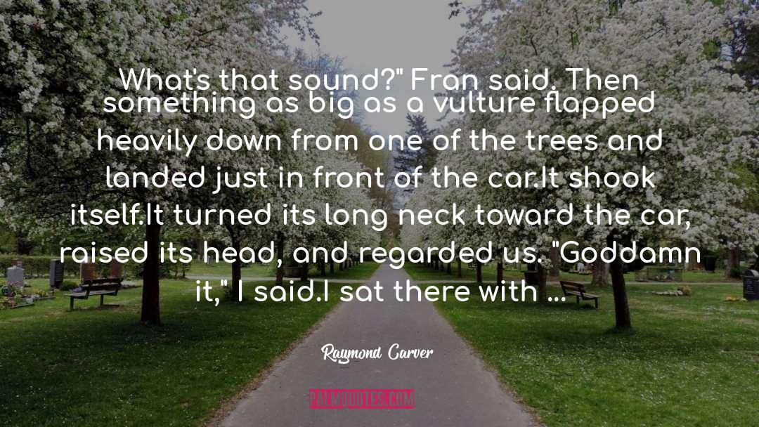 Head Up quotes by Raymond Carver