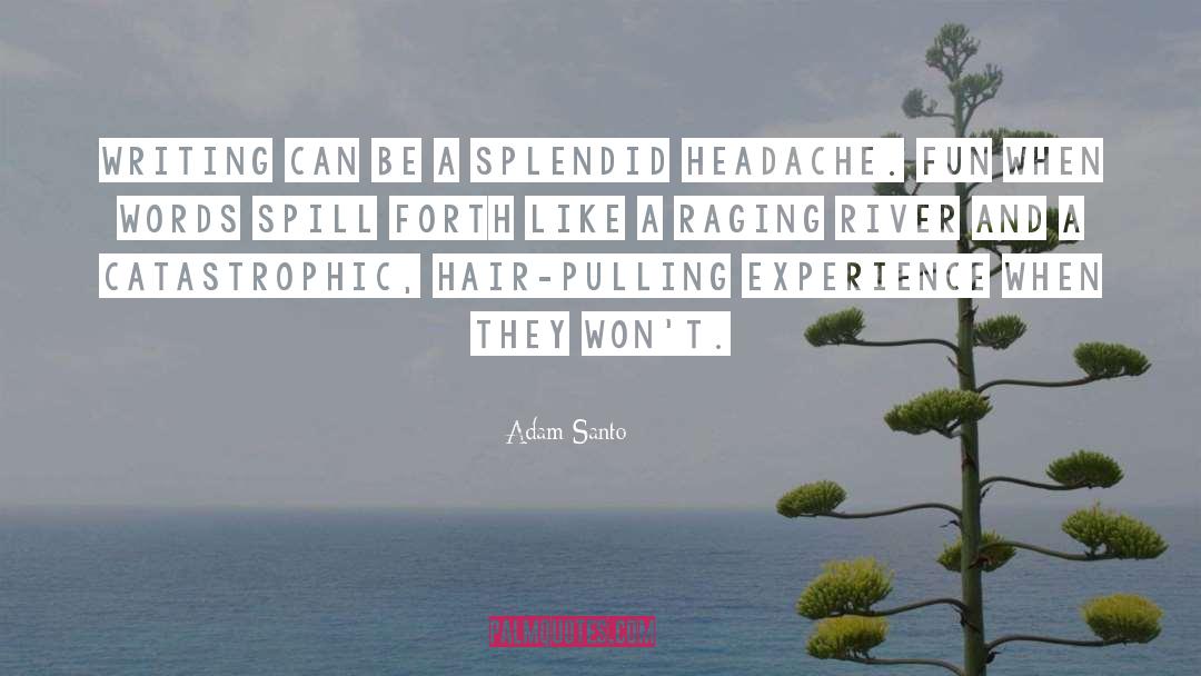 Headache quotes by Adam Santo