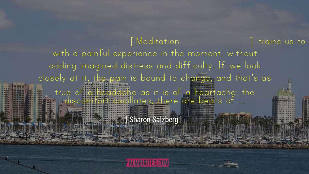 Headache quotes by Sharon Salzberg