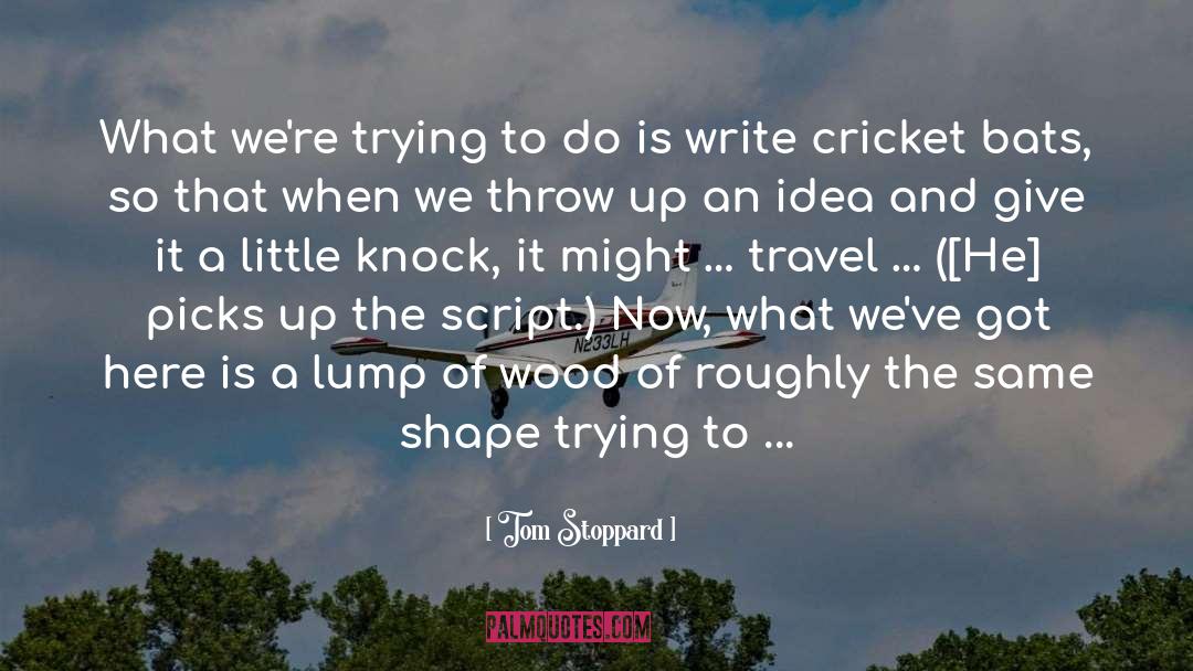 Headingley Cricket quotes by Tom Stoppard