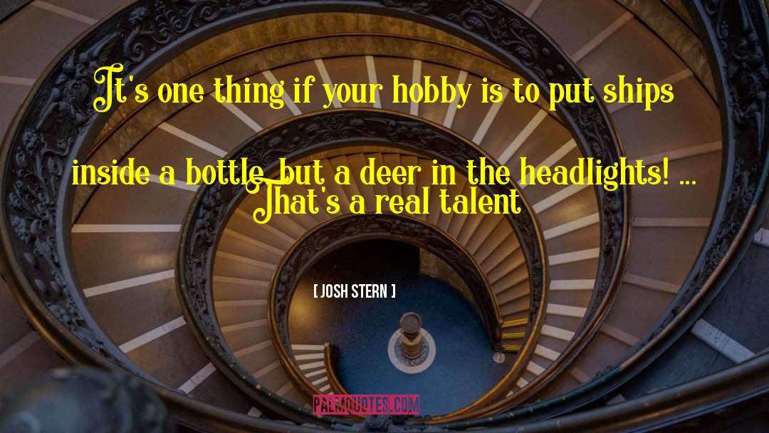 Headlights quotes by Josh Stern