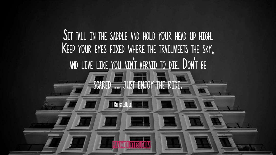 Heads Up quotes by Chris LeDoux