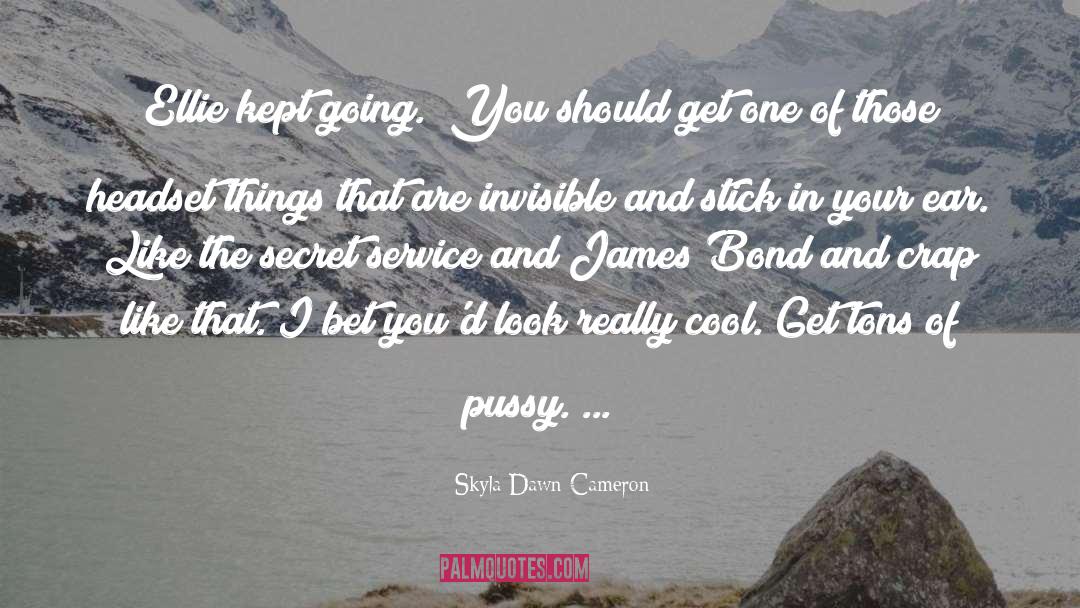 Headset quotes by Skyla Dawn Cameron