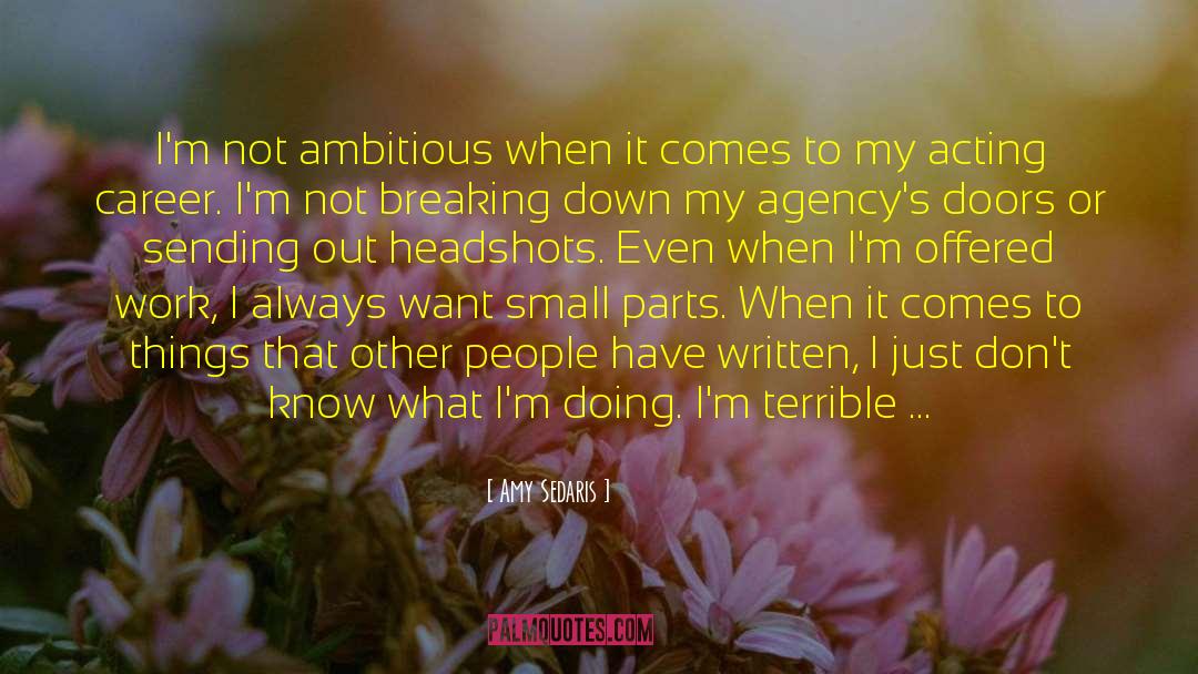 Headshots quotes by Amy Sedaris