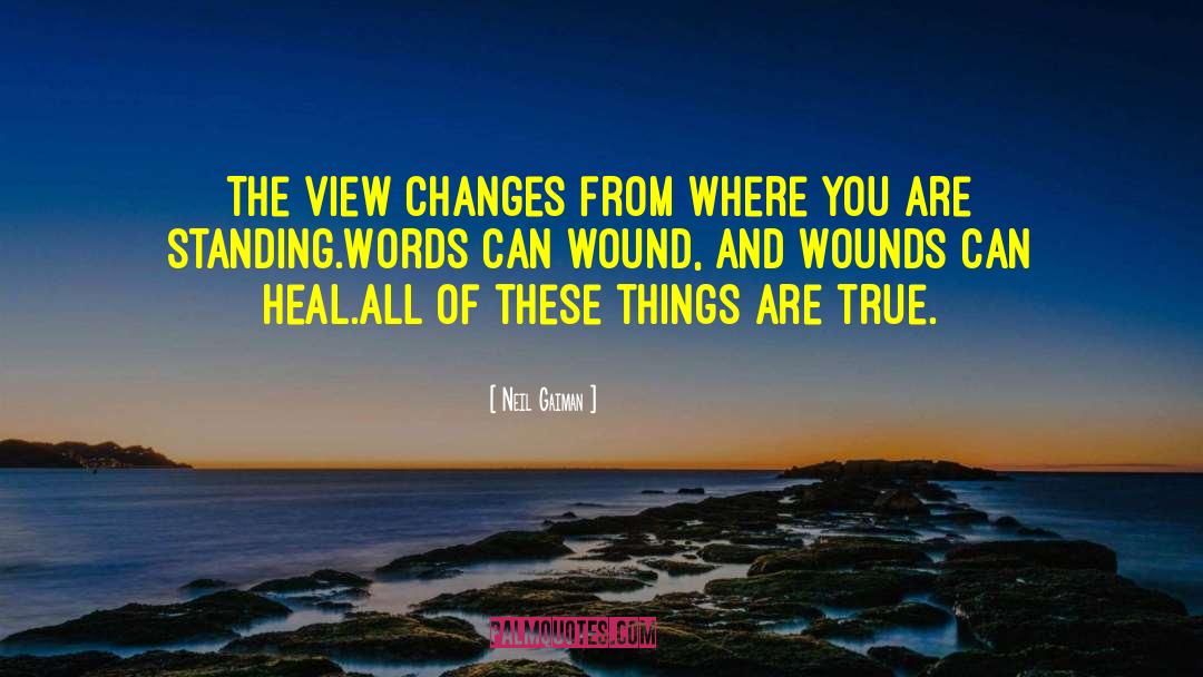 Heal All Ills quotes by Neil Gaiman