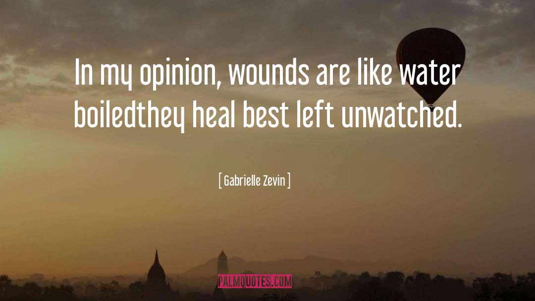 Heal quotes by Gabrielle Zevin