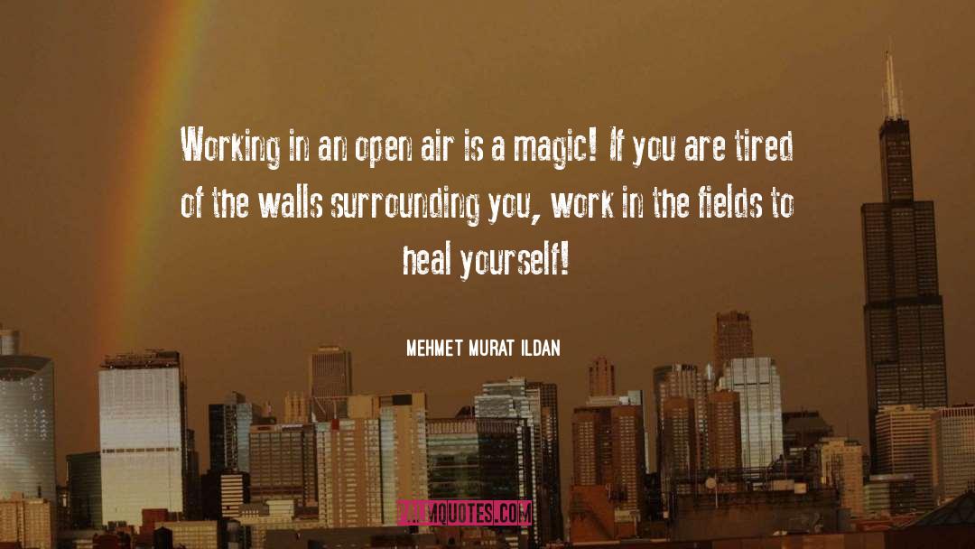 Heal Yourself quotes by Mehmet Murat Ildan