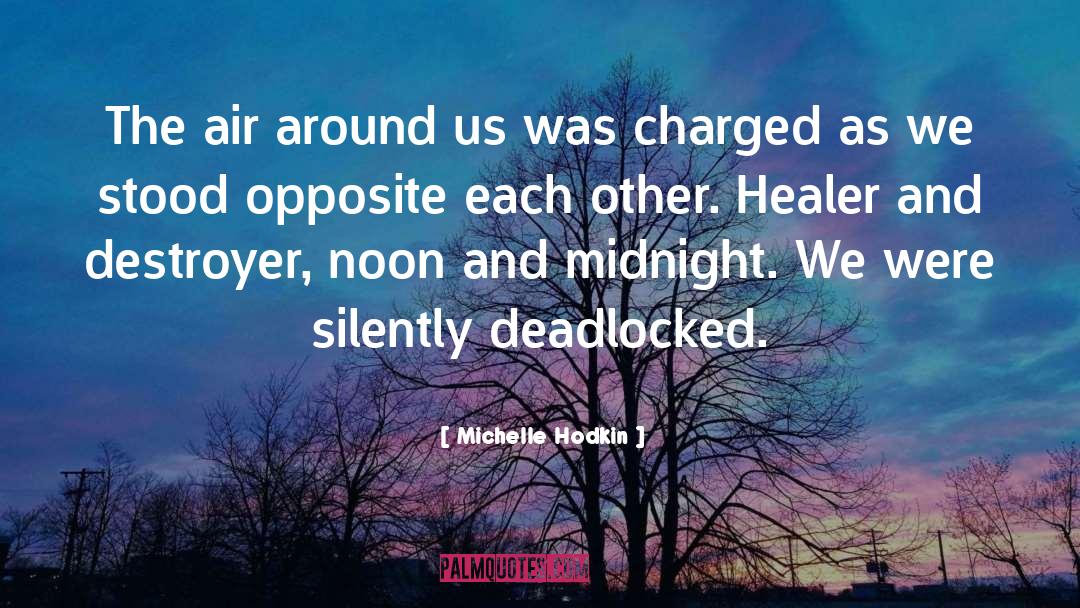 Healer quotes by Michelle Hodkin