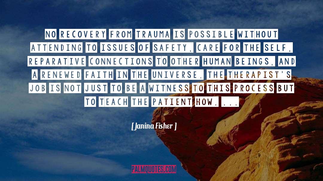 Healing Abuse quotes by Janina Fisher