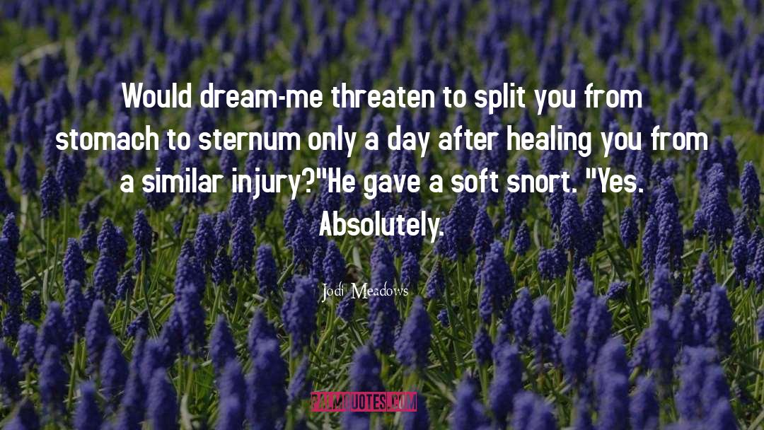 Healing After Abuse quotes by Jodi Meadows