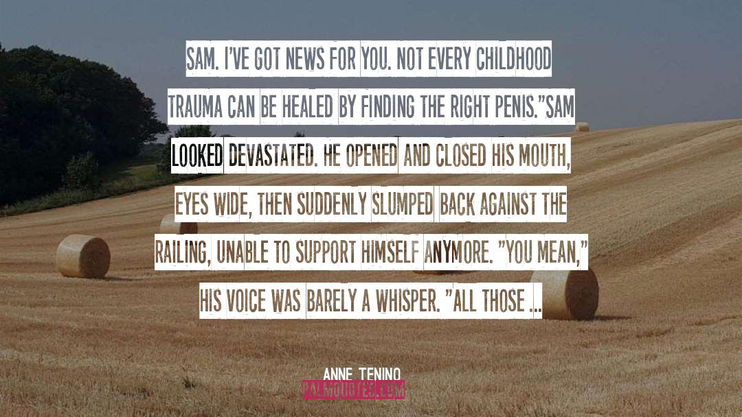 Healing Childhood Sexual Abuse quotes by Anne Tenino