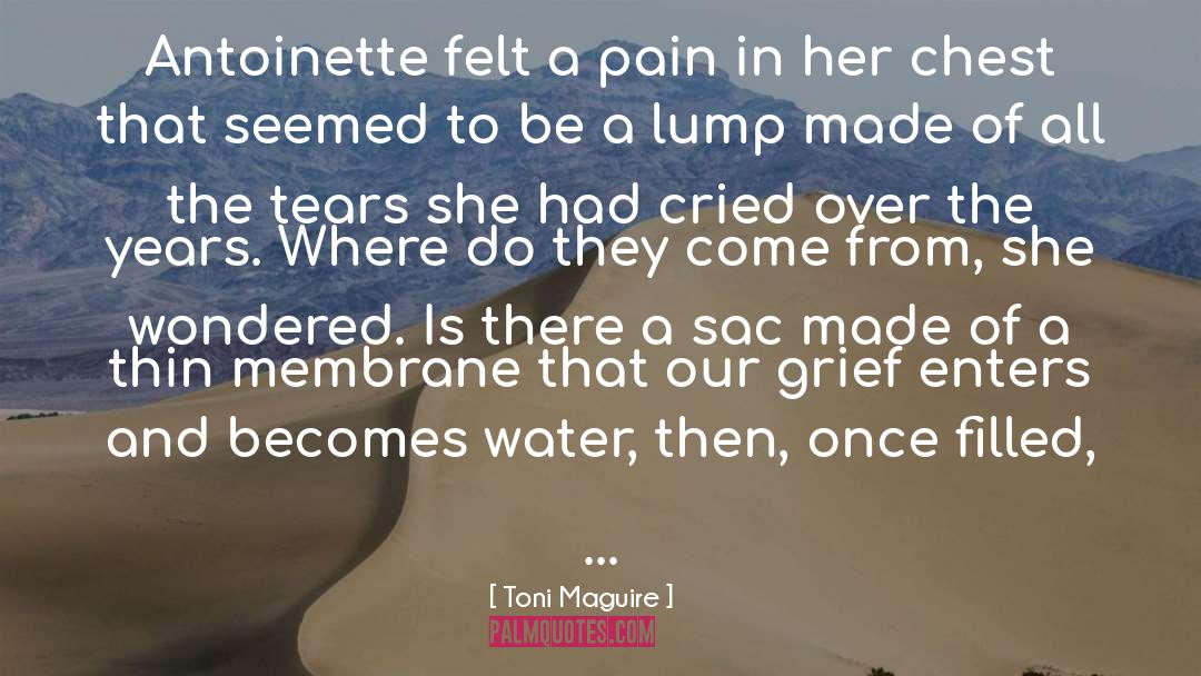 Healing From Grief quotes by Toni Maguire