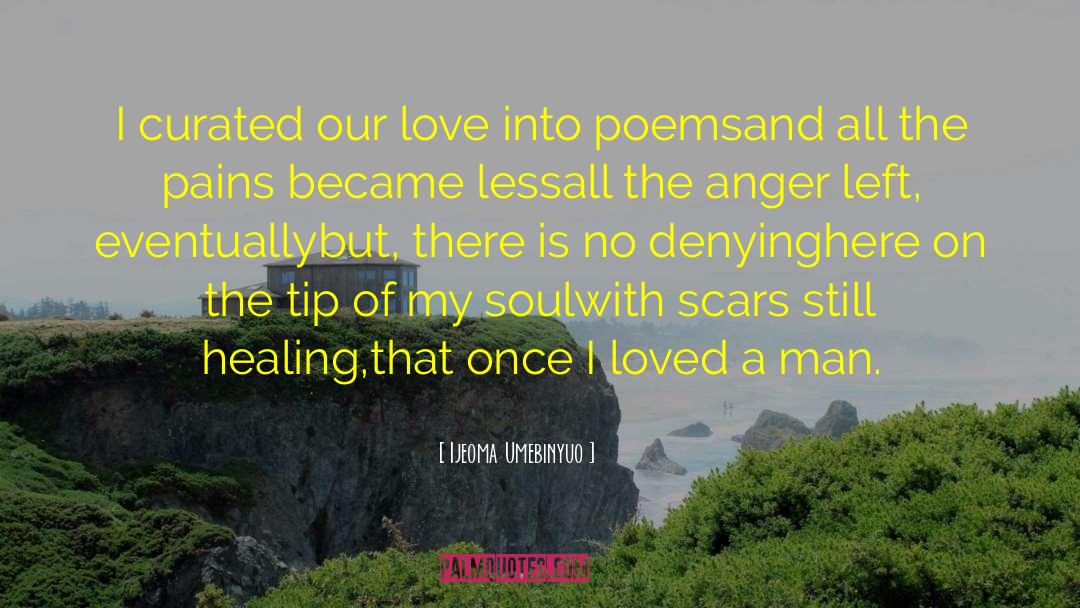 Healing Grief quotes by Ijeoma Umebinyuo
