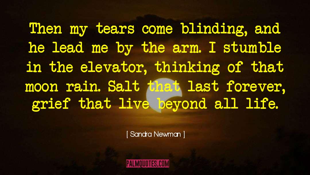 Healing Grief quotes by Sandra Newman
