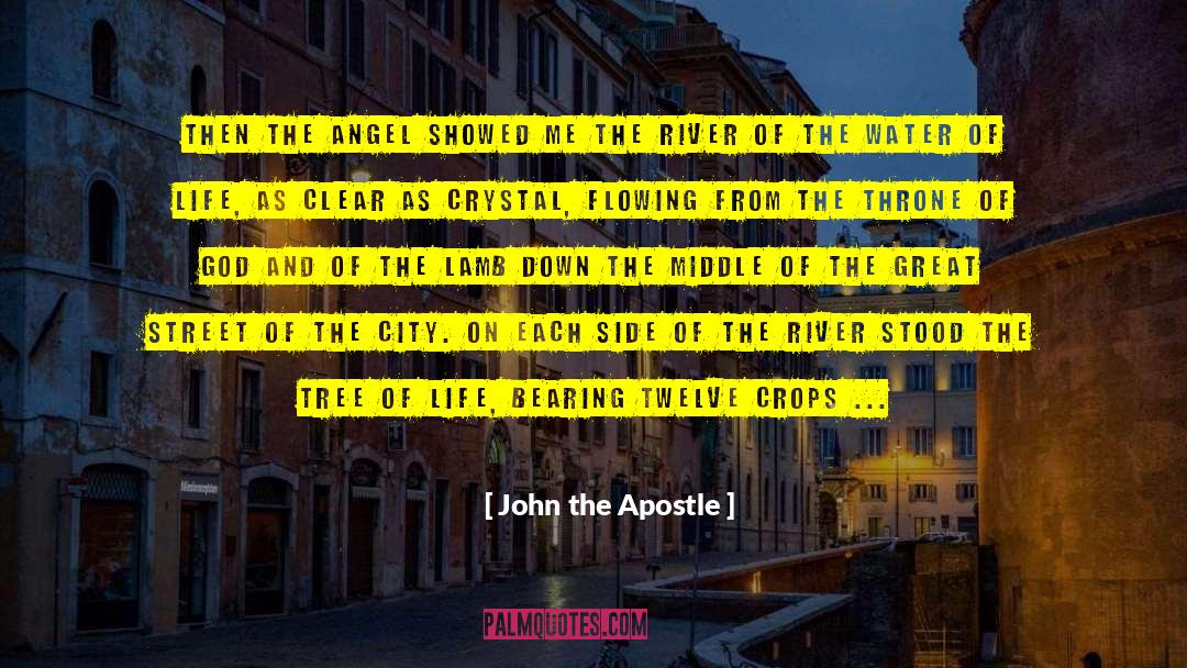 Healing Insighs quotes by John The Apostle