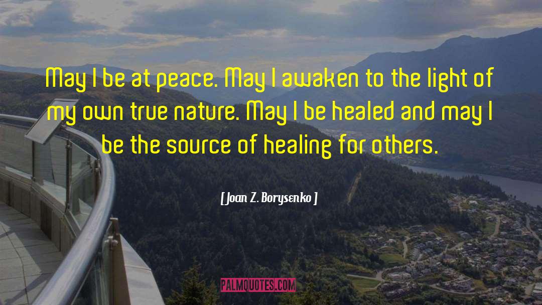Healing Light quotes by Joan Z. Borysenko