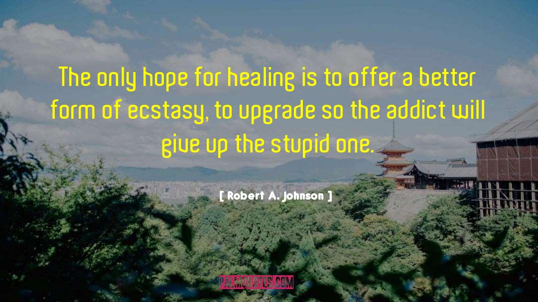Healing Of Conflict quotes by Robert A. Johnson