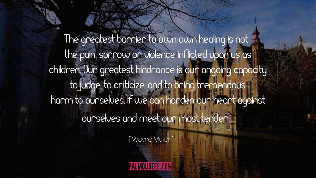 Healing Pain quotes by Wayne Muller