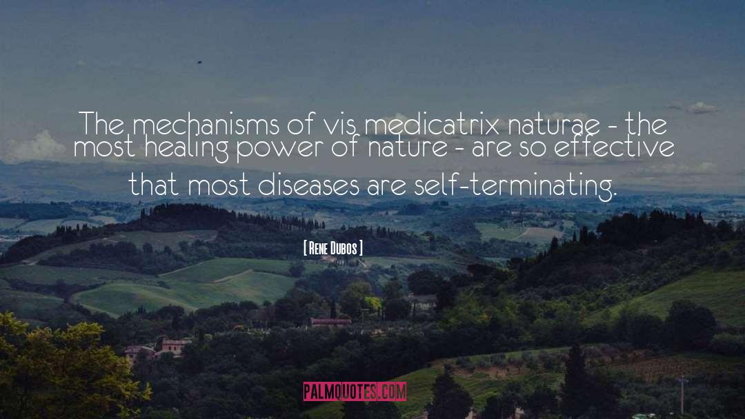Healing Power Of Nature quotes by Rene Dubos