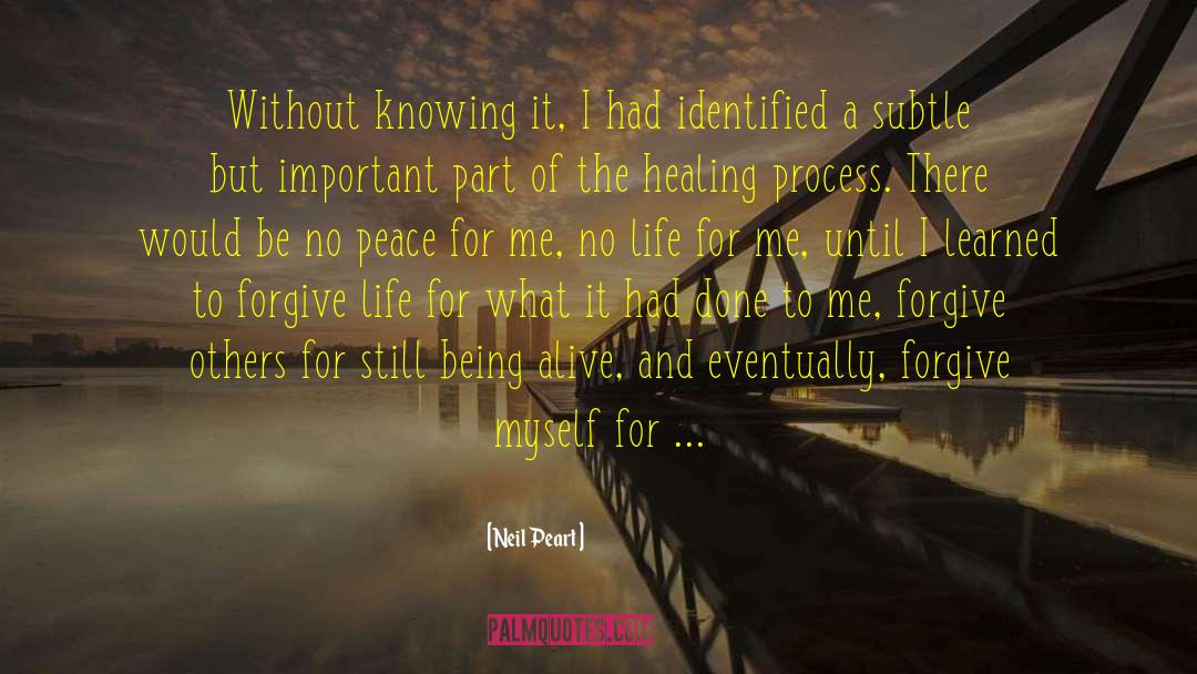 Healing Process quotes by Neil Peart