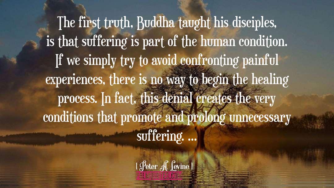 Healing Process quotes by Peter A. Levine
