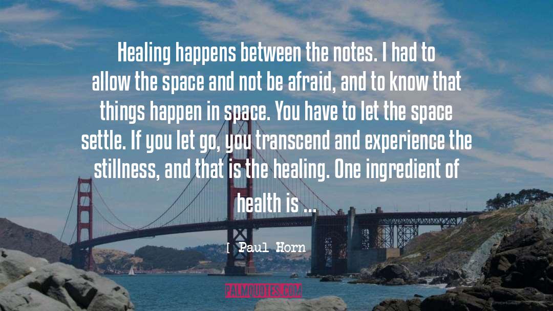 Healing Space quotes by Paul Horn
