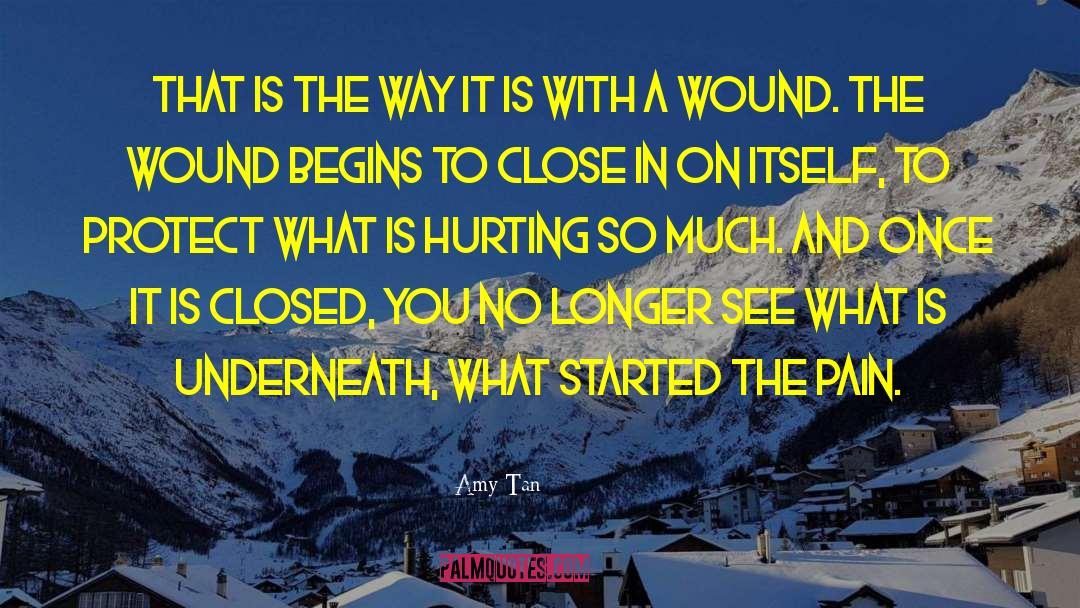 Healing The Past quotes by Amy Tan