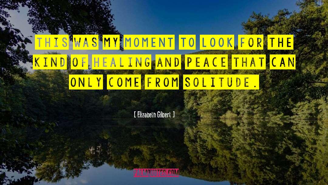 Healing The Pasts quotes by Elizabeth Gilbert