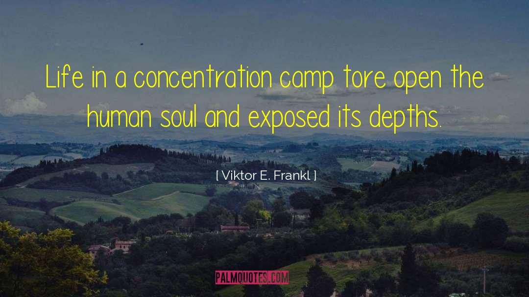 Healing The Soul quotes by Viktor E. Frankl
