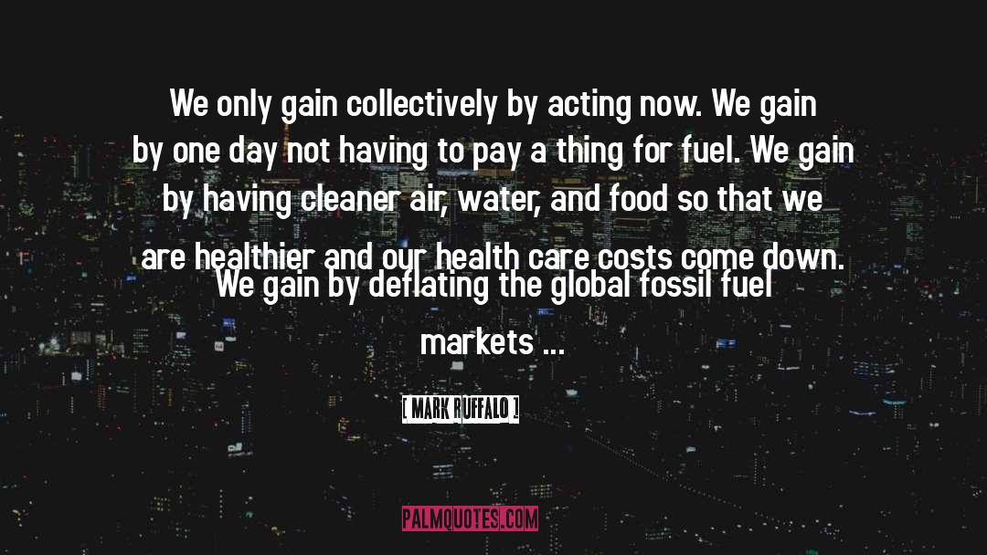 Health Care Costs quotes by Mark Ruffalo
