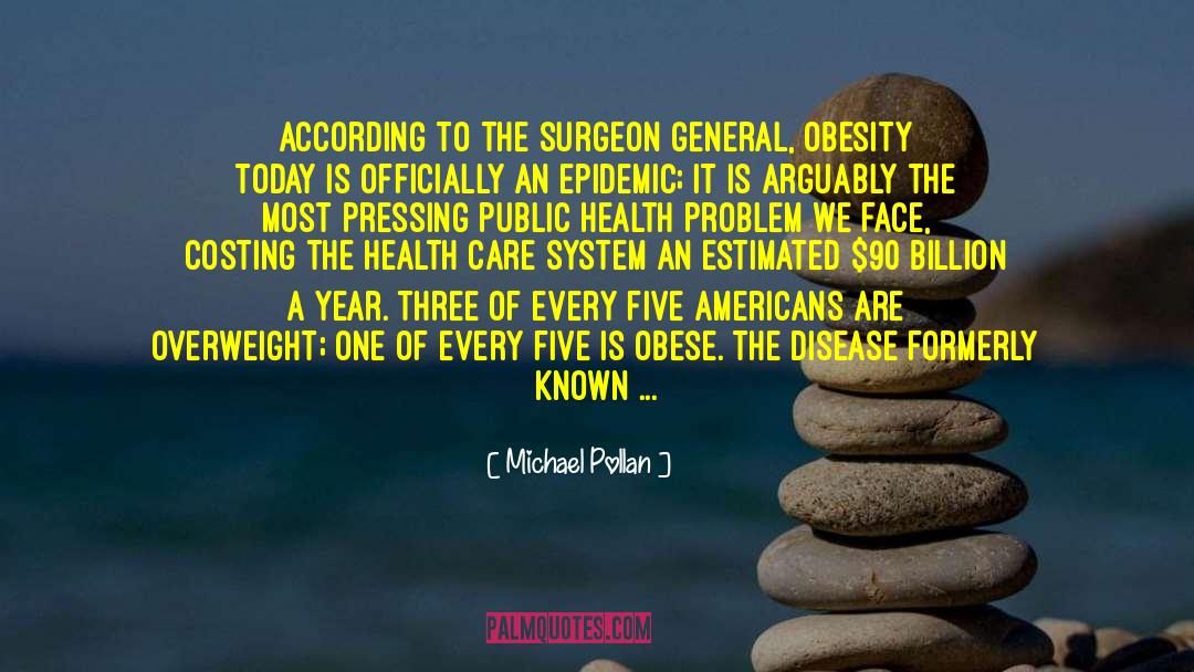 Health Care In The United States quotes by Michael Pollan