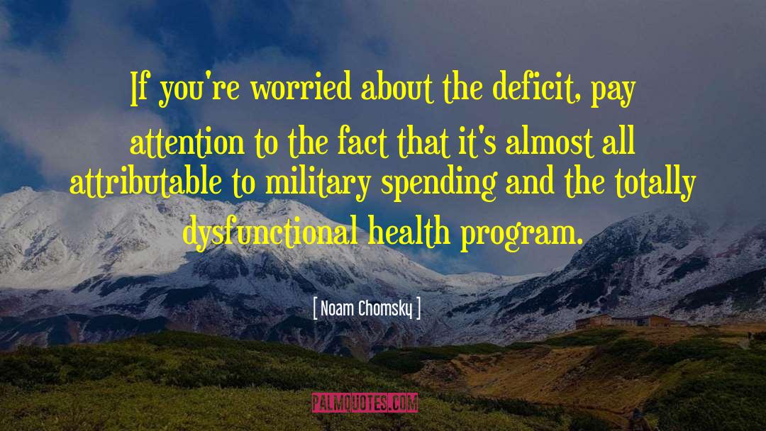 Health Program quotes by Noam Chomsky