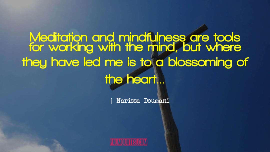 Healthfulness Meditation quotes by Narissa Doumani