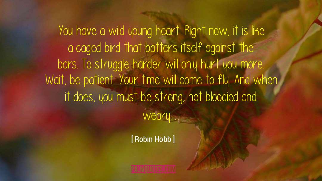 Healthwell Patient quotes by Robin Hobb