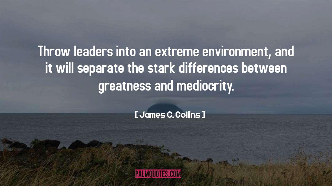 Healthy Environment quotes by James C. Collins