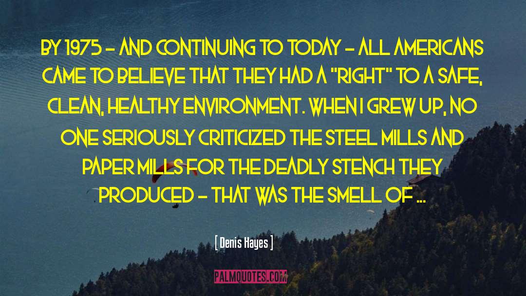 Healthy Environment quotes by Denis Hayes