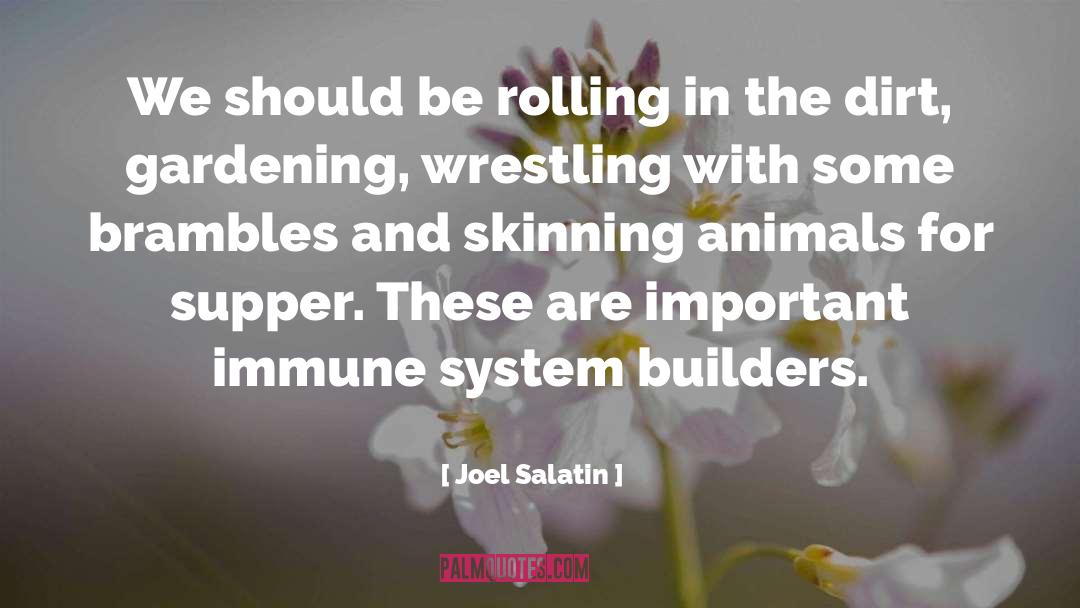 Healthy Immune System quotes by Joel Salatin