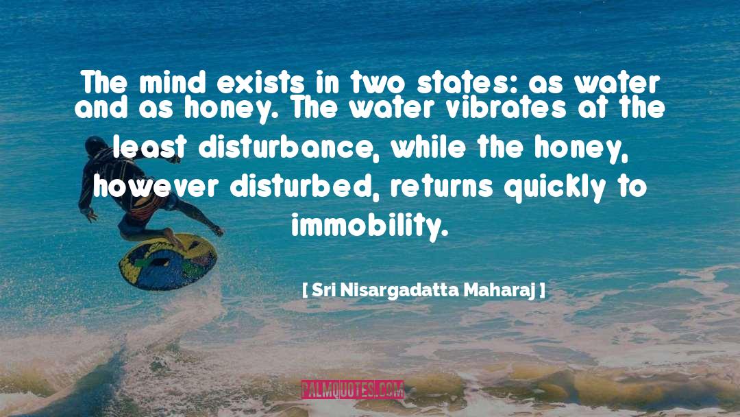 Healthy Mind quotes by Sri Nisargadatta Maharaj