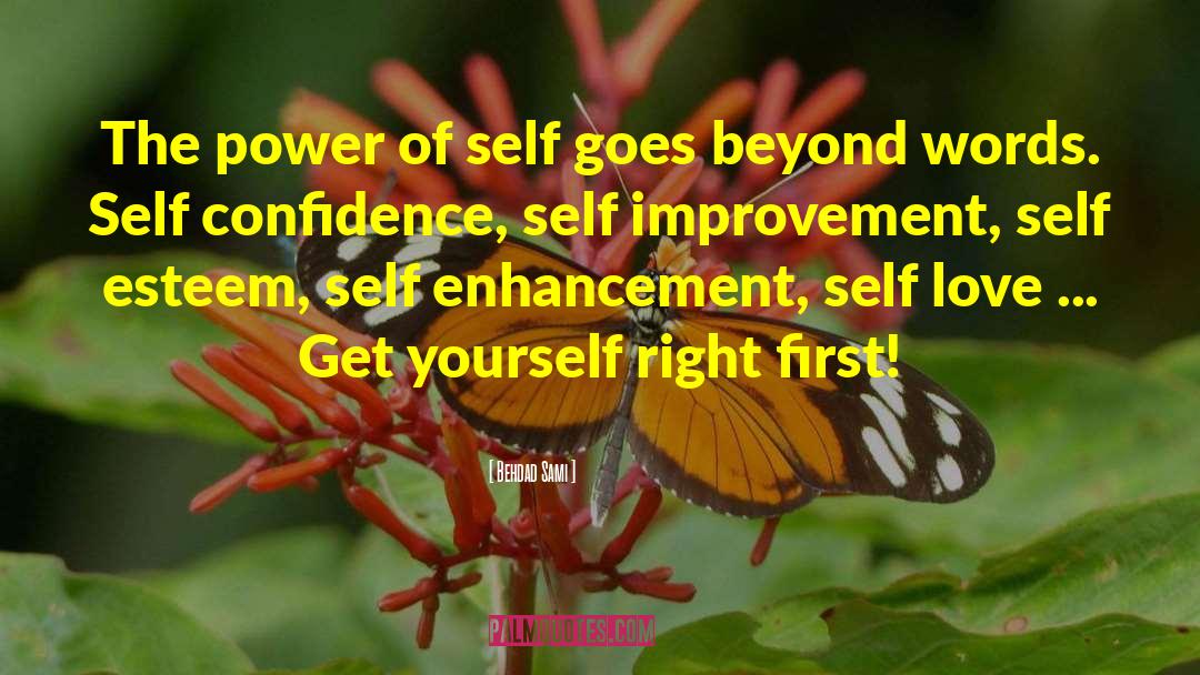 Healthy Self Esteem quotes by Behdad Sami