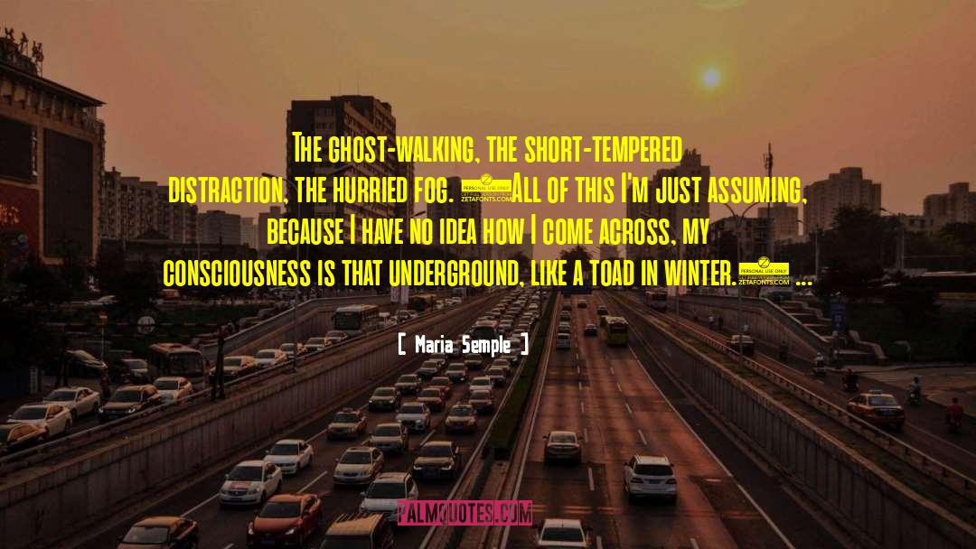 Heang Underground quotes by Maria Semple
