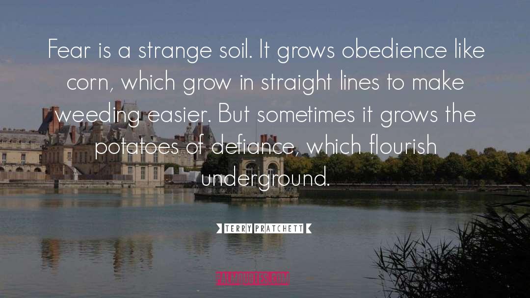 Heang Underground quotes by Terry Pratchett