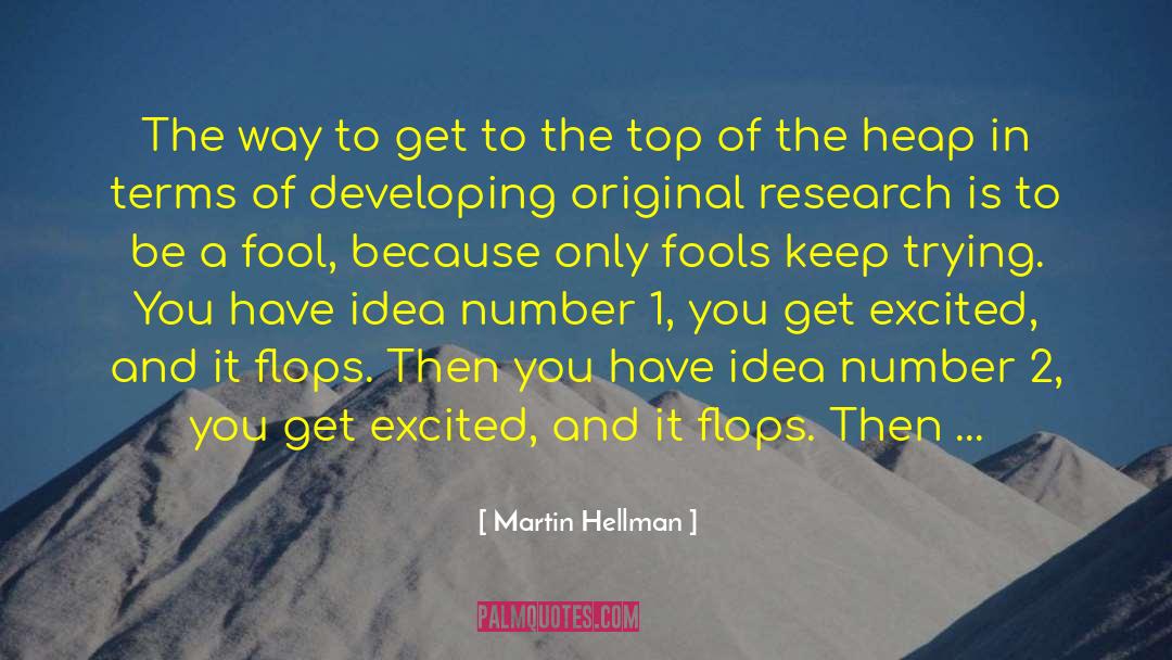 Heap Of Papers quotes by Martin Hellman
