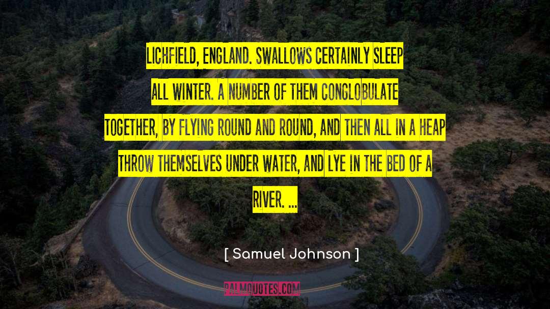 Heap Of Papers quotes by Samuel Johnson