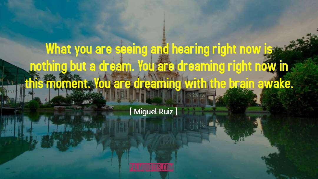 Hearing Aid quotes by Miguel Ruiz