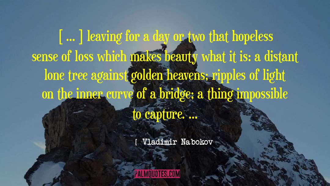 Hearing Loss quotes by Vladimir Nabokov