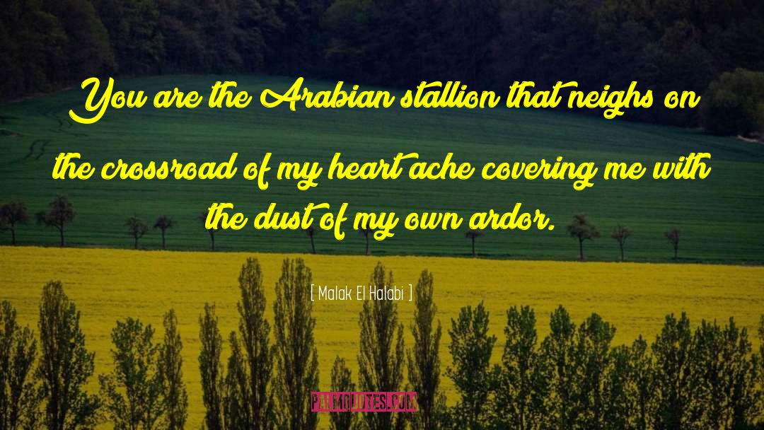 Heart Ache quotes by Malak El Halabi