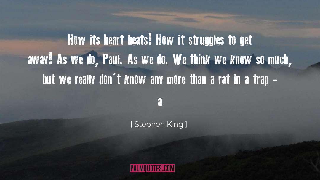Heart Beats quotes by Stephen King